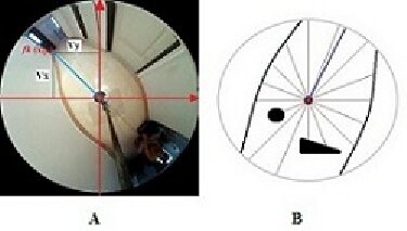 Visual Sonar Algorithm Concept