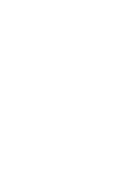 University of Surrey